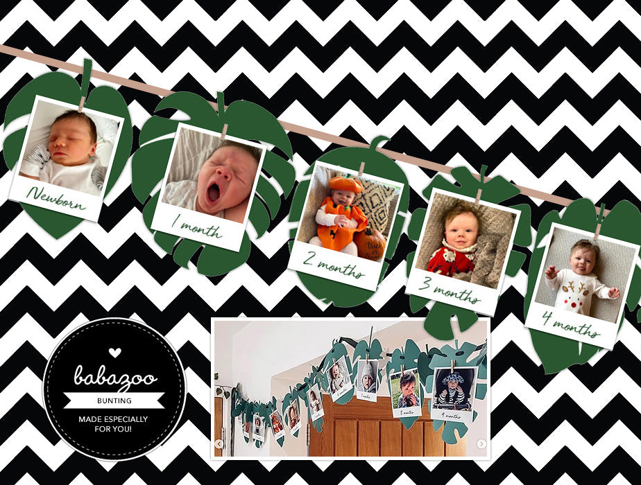 Wild one polaroid bunting